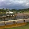 New Wave Sg Buloh - DD - Image 4
